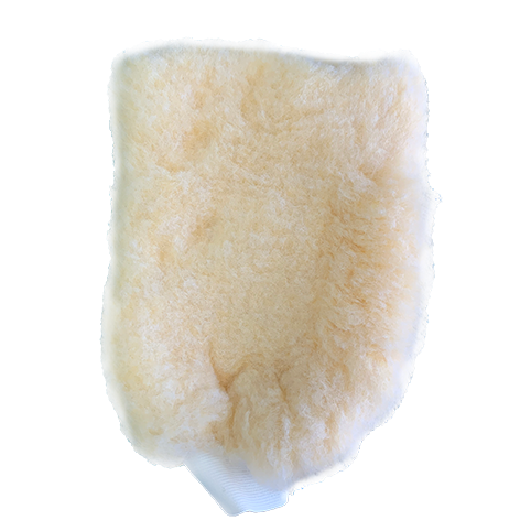 Wash Mitt